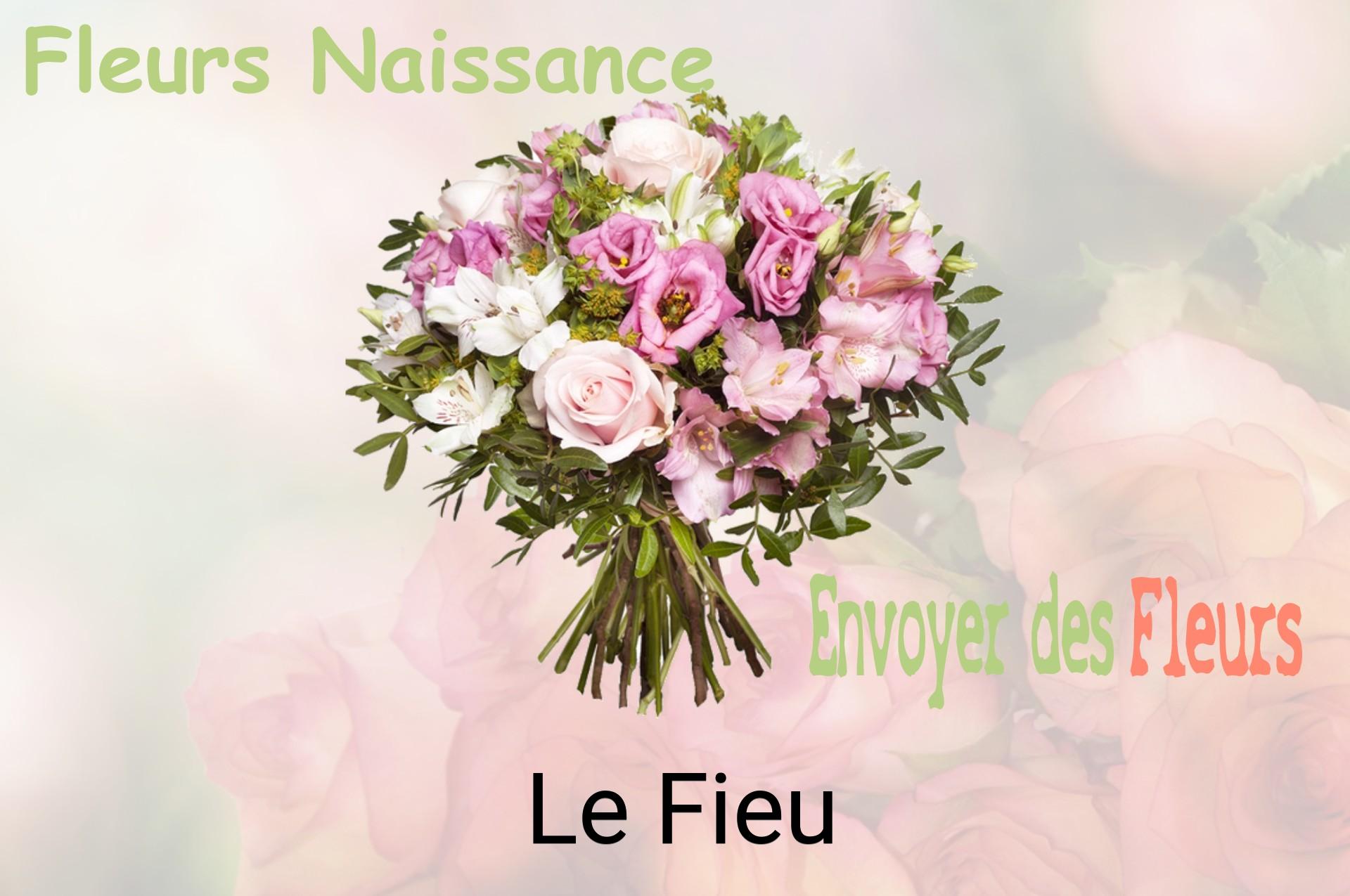 Bouquet de fleurs de naissance livré à Le Fieu